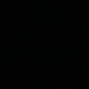 Meet your Posher, Lucy